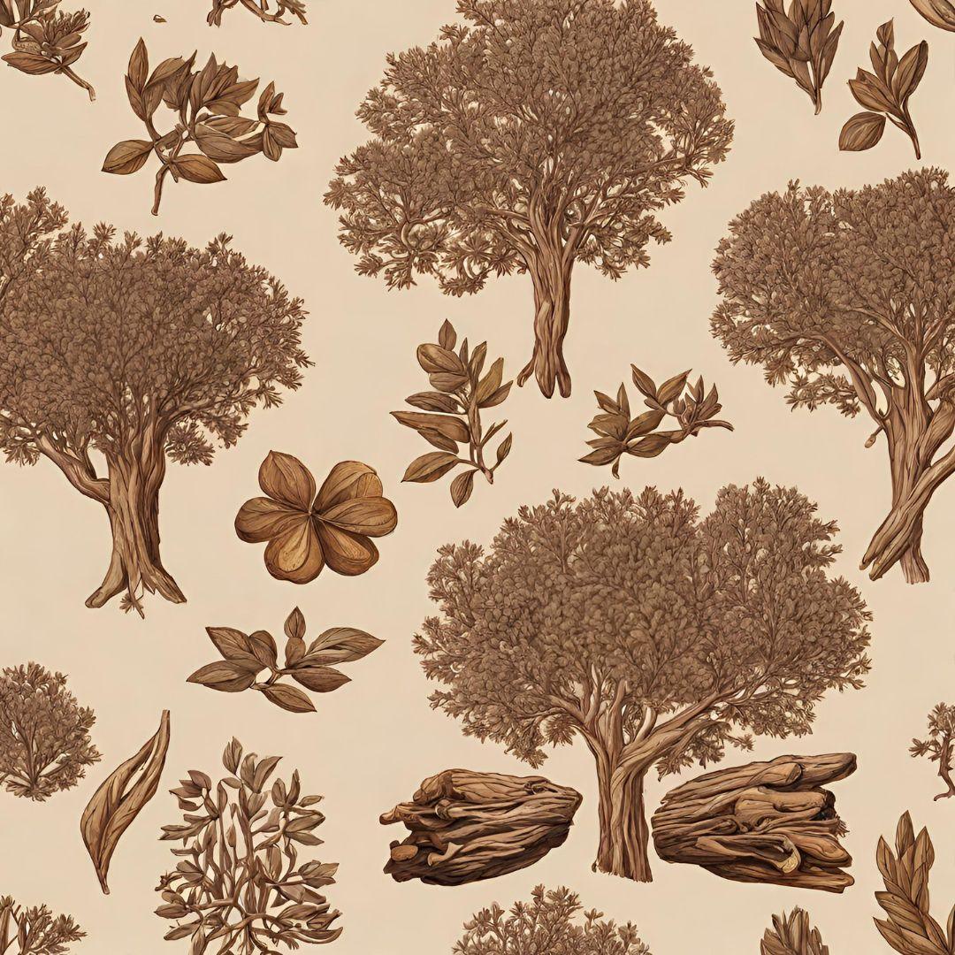 A soft, artistic depiction of sandalwood trees, bathed in gentle light, evoking a sense of serenity and timeless beauty
