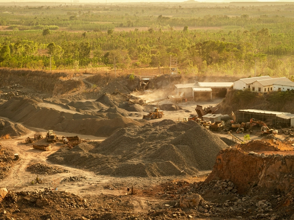 Man’s Exploitation: The Impact of Oud Exploitation on Local Communities and Ecosystems
