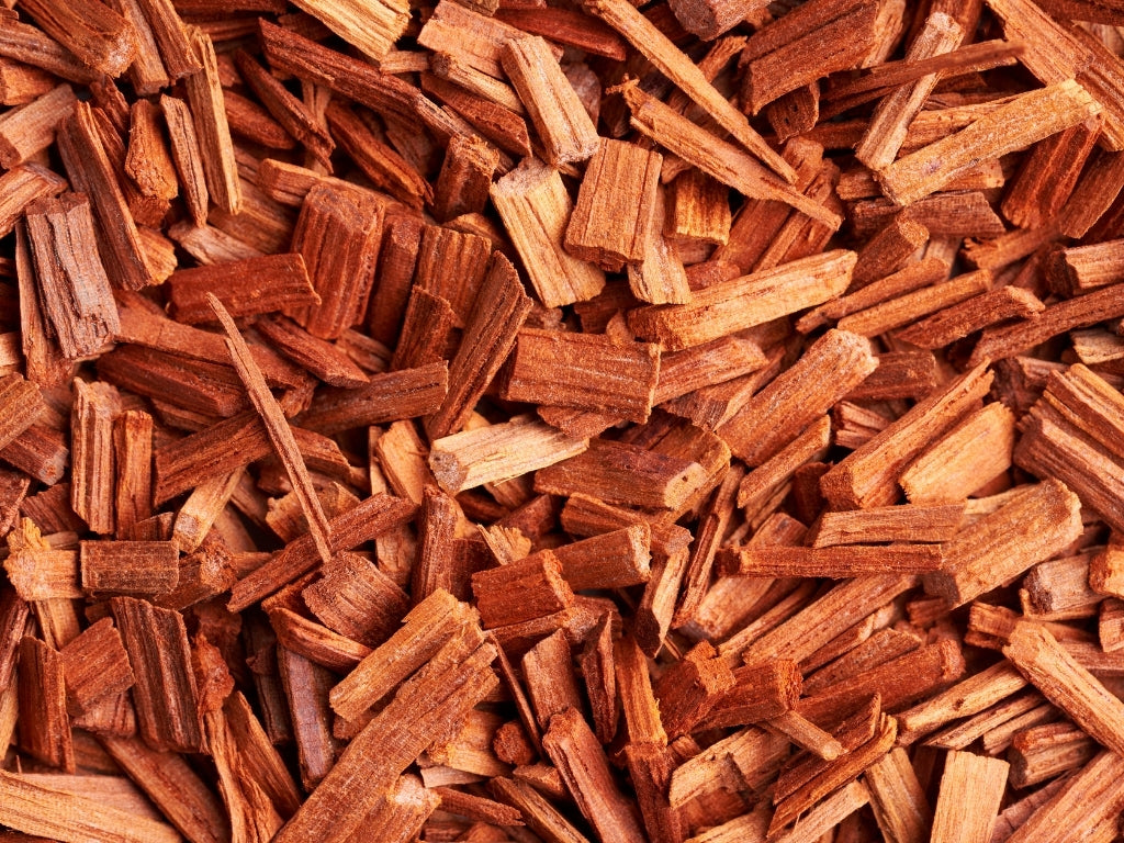 Indian Sandalwood: Unraveling the History, Science, and the Battle Against Endangerment