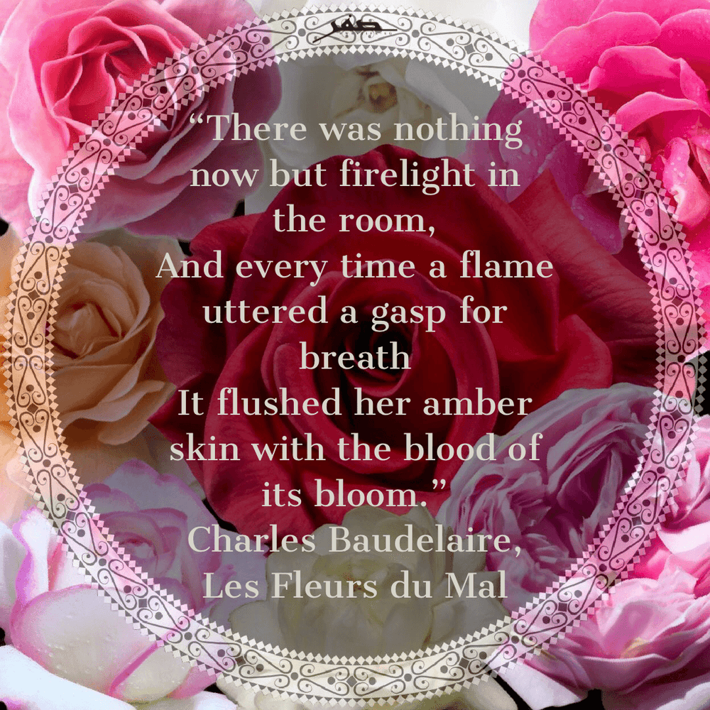 Background image of roses with the quote: 'There was nothing now but firelight in the room, and every time a flame uttered a gasp for breath it flushed her amber skin with the blood of its bloom.' - Charles Baudelaire, Les Fleurs du Mal.